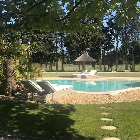 Mas Des Limites Bed and Breakfast Rognonas Buitenkant foto