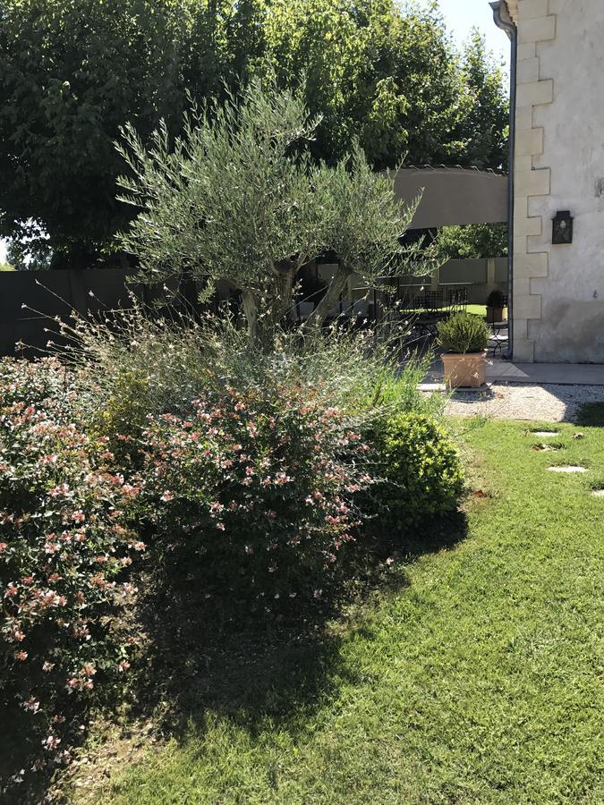 Mas Des Limites Bed and Breakfast Rognonas Buitenkant foto